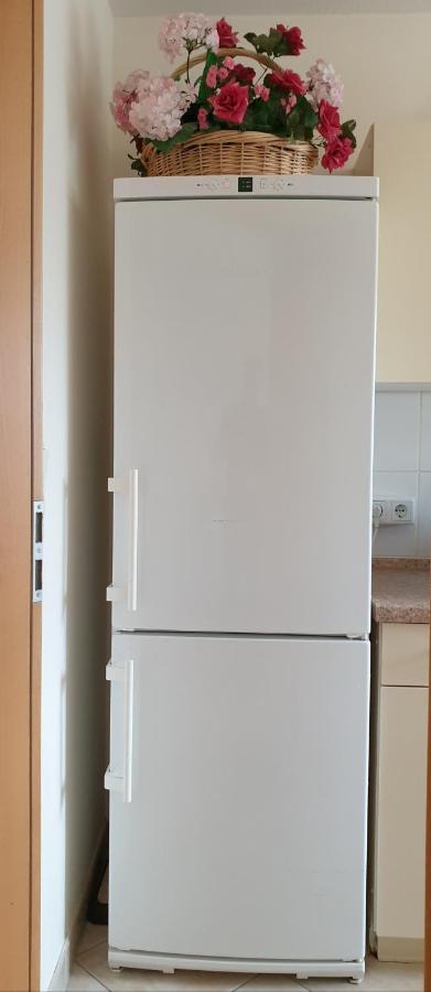Ferienwohnung Maria - Bad Kissingen Kültér fotó